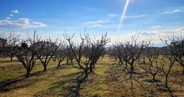 Terrain dans Nea Triglia, Grèce