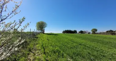 Działka w Thermaikos Municipality, Grecja