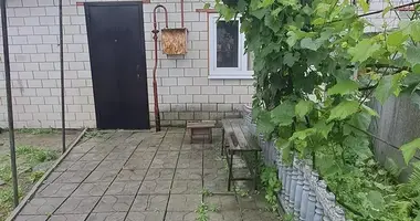 House in Krasnaye, Belarus