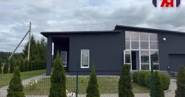 Cottage in Dziahilna, Belarus
