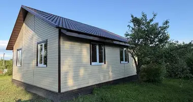 House in Rakauski sielski Saviet, Belarus