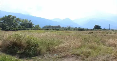 Terrain dans Dion Olympos Municipality, Grèce
