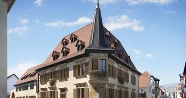 3 bedroom apartment in Rouffach, France