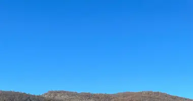 Działka w Miami, Stany Zjednoczone