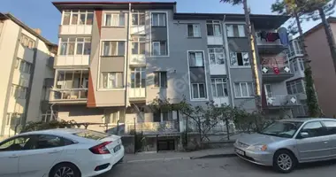 Mieszkanie 3 pokoi w Odunpazari, Turcja