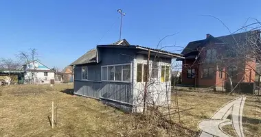 Dom w Znamienski sielski Saviet, Białoruś