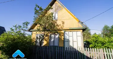House in Ciaruchski sielski Saviet, Belarus