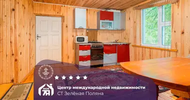 Дом в Голоцкий сельский Совет, Беларусь
