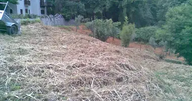 Terrain dans Mouresi, Grèce