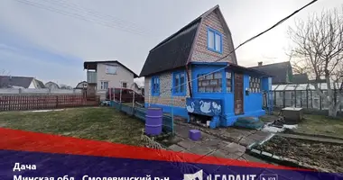 Дом — Жодинский сельский Совет, Беларусь