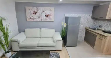 Wohnung 2 zimmer in Stadt Belgrad, Serbien