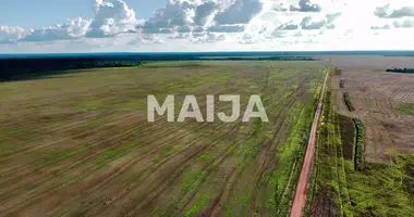 Działka w Regiao Geografica Imediata de Alta Floresta, Brazylia