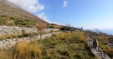 Propriété commerciale dans Monténégro