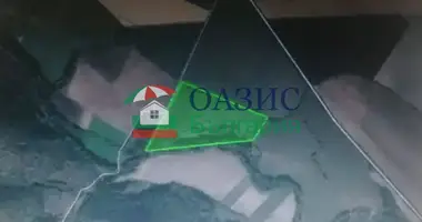 Коммерческое помещение 19 018 м² в Medovo, Болгария