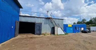 Commercial property 222 m² in Minsk, Belarus