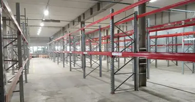 Warehouse 3 500 m² in Podolsk, Russia