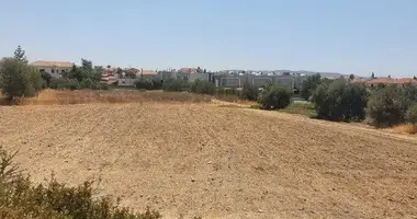Terrain dans Pyrgos Lemesou, Chypre