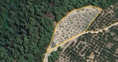 Terrain dans Municipality of Sithonia, Grèce