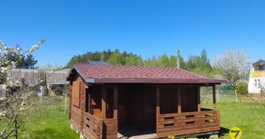 Plot of land in Nieharelski sielski Saviet, Belarus