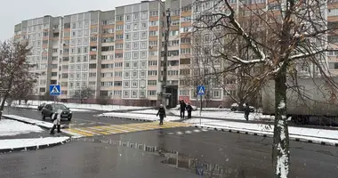 1 bedroom apartment in Minsk, Belarus