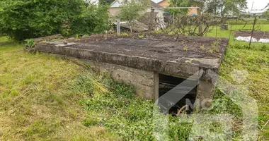 Dom w Smorgonie, Białoruś