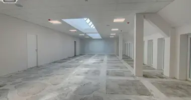 Коммерческое помещение 171 м² в Вильнюс, Литва