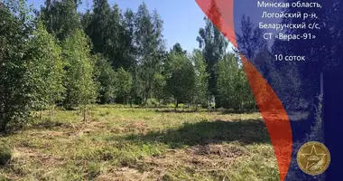 Terrain dans Bialarucki sielski Saviet, Bélarus