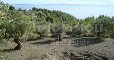 Участок земли в Municipality of Sithonia, Греция