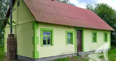 House in Stryhaniec, Belarus