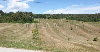 Terrain dans Opcina Krnjak, Croatie