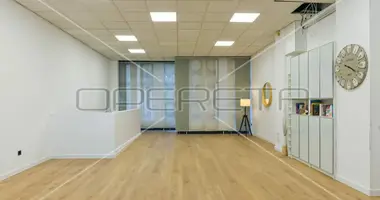 Propriété commerciale 219 m² dans Ville de Zagreb, Croatie