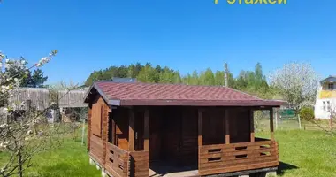 Plot of land in Nieharelski sielski Saviet, Belarus