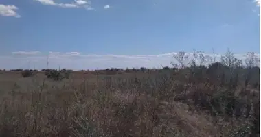 Gewerbefläche in Tajirowe, Ukraine