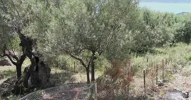 Terrain dans Lefkada Municipality, Grèce