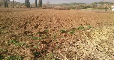Terrain dans Kassandreia, Grèce