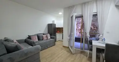Appartement 1 chambre dans Budva, Monténégro
