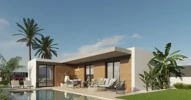 Haus 3 zimmer in Molina de Segura, Spanien