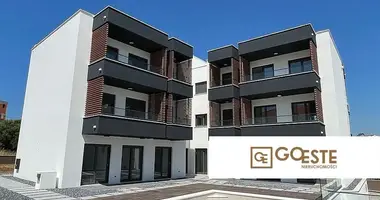 1 room apartment in Opcina Dezanovac, Croatia