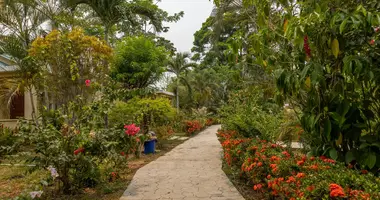 Dom 1 pokój w El Pino, Honduras