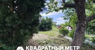 Дом в Беларучский сельский Совет, Беларусь