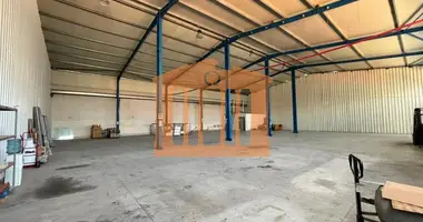 Manufacture 315 m² in Bashkia Durres, Albania