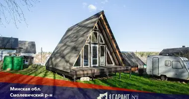 Haus in Zabalocki sielski Saviet, Belarus