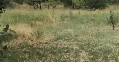 Plot of land in Burlacha Balka, Ukraine