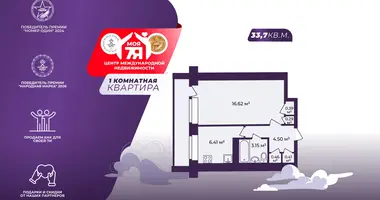 1 room apartment in Minsk, Belarus