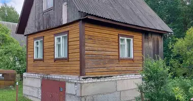 House in Krasnienski sielski Saviet, Belarus