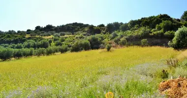 Terrain dans Nea Skioni, Grèce