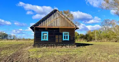 House in Dzivin, Belarus