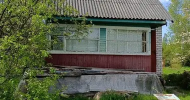 House in Nieharelski sielski Saviet, Belarus