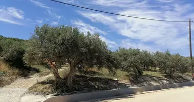 Parcela en Tavronitis, Grecia