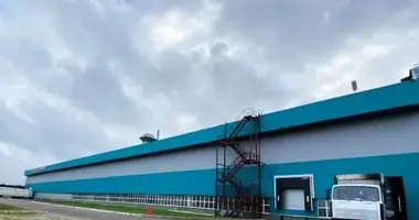 Lager 12 000 m² in Malye Vazemy, Russland